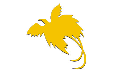 Papua new guinea rugby league